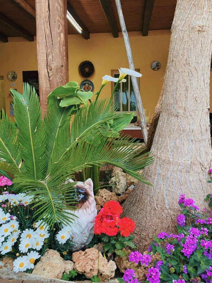 Hotel La Casa Di Anna Marsala Exteriér fotografie